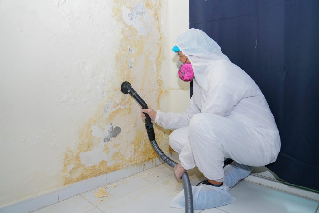 Mold & Mildew Removal