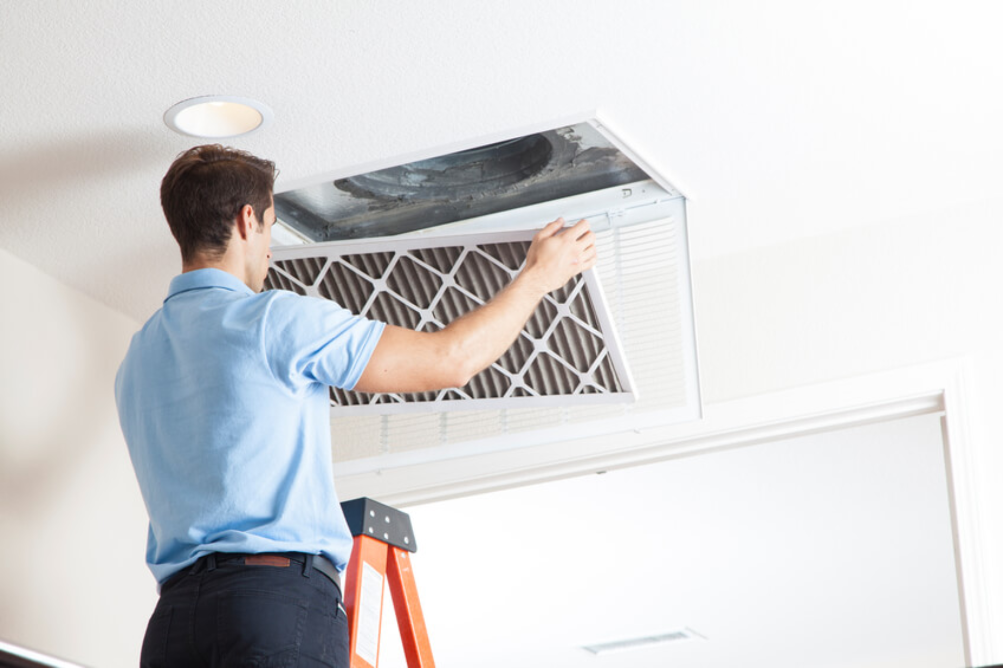 Breathe Fresh: Summer Solutions for Clean Air in Your Home