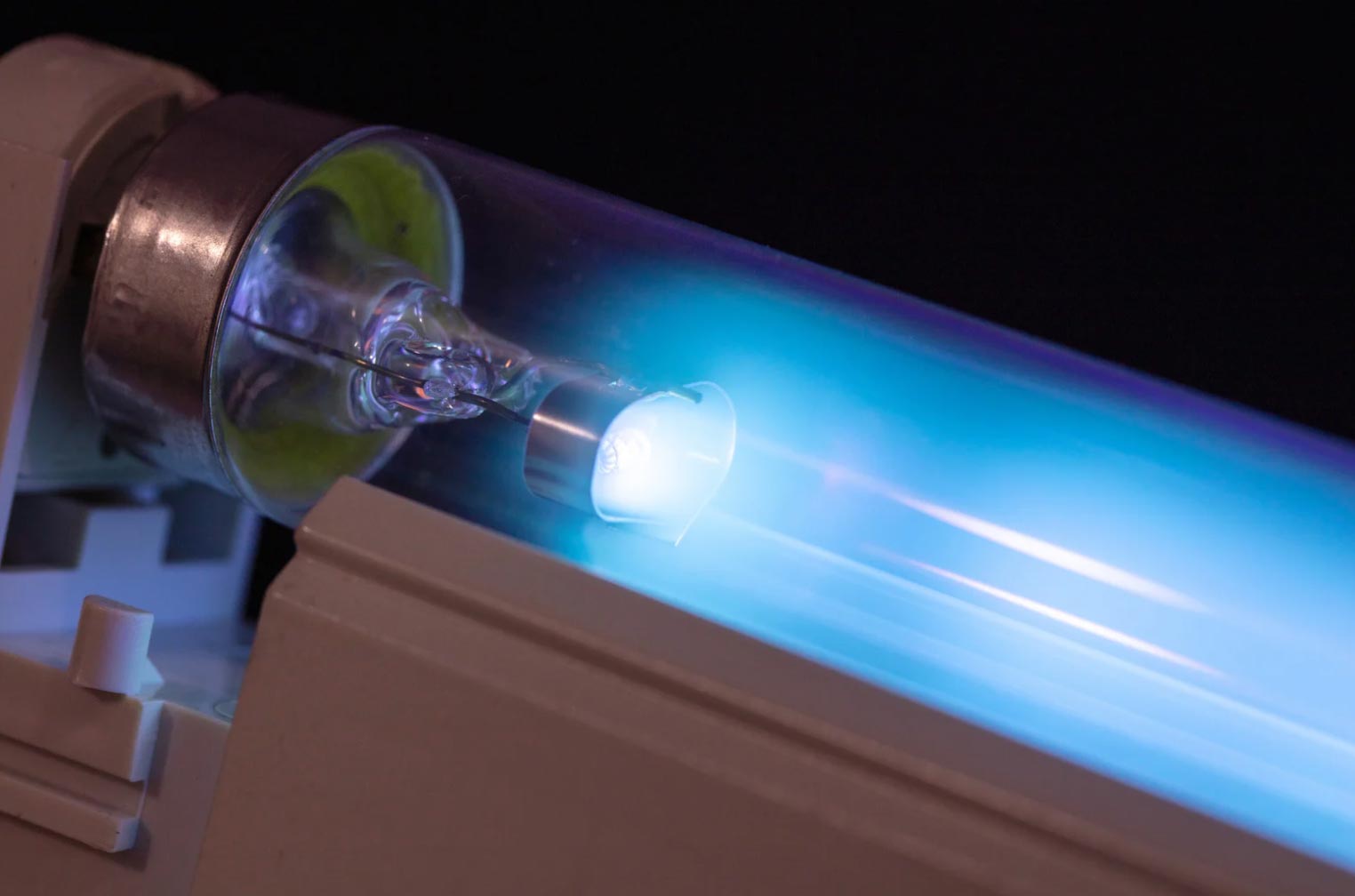 uv-light-img-2 Mold and Mildew Removal Services