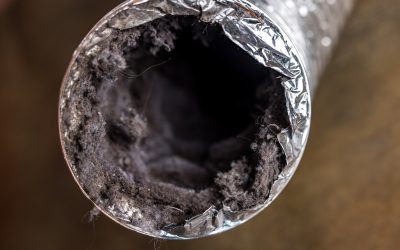 Why Now Is the Perfect Time to Get Your Ducts Cleaned