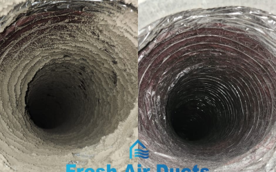 Mold in Air Ducts: Common Causes, Health Concerns, and What Professional Cleaning Can Do